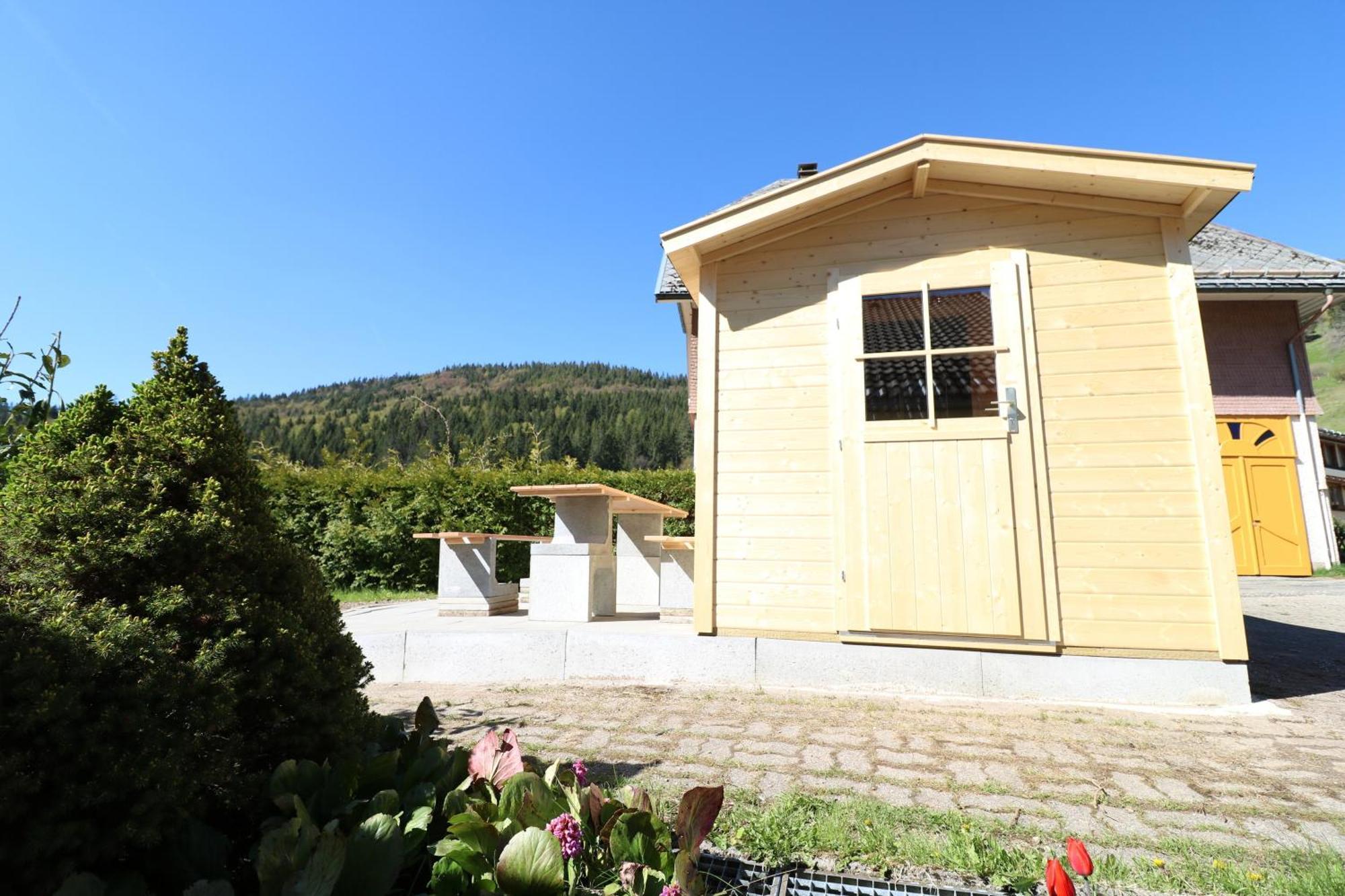 Fewo Schwarzwaldblick, Todtnau-Muggenbrunn, Liftverbund Feldberg Exterior foto
