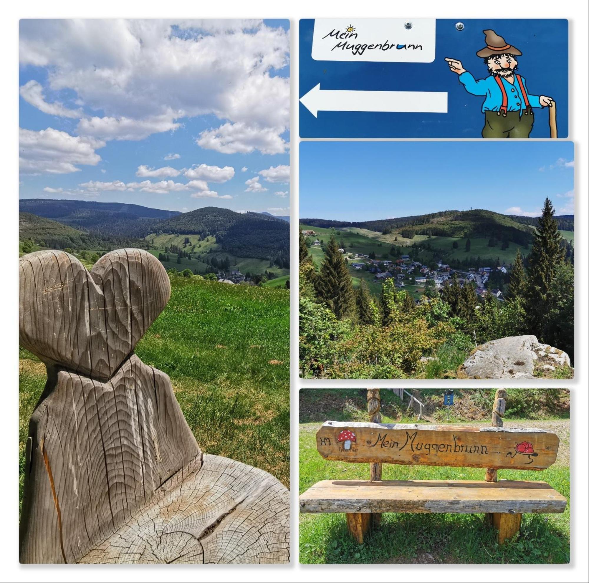 Fewo Schwarzwaldblick, Todtnau-Muggenbrunn, Liftverbund Feldberg Exterior foto